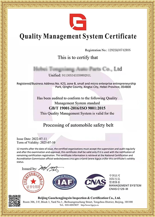 Quality Management System Certificate